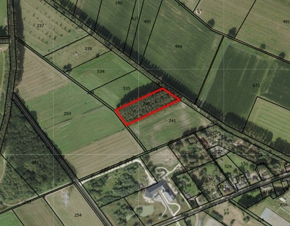 Medium property photo - Molenkampseweg, 5681 Best